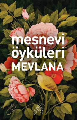 Mesnevi Öyküleri