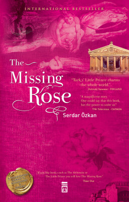 The Missing Rose