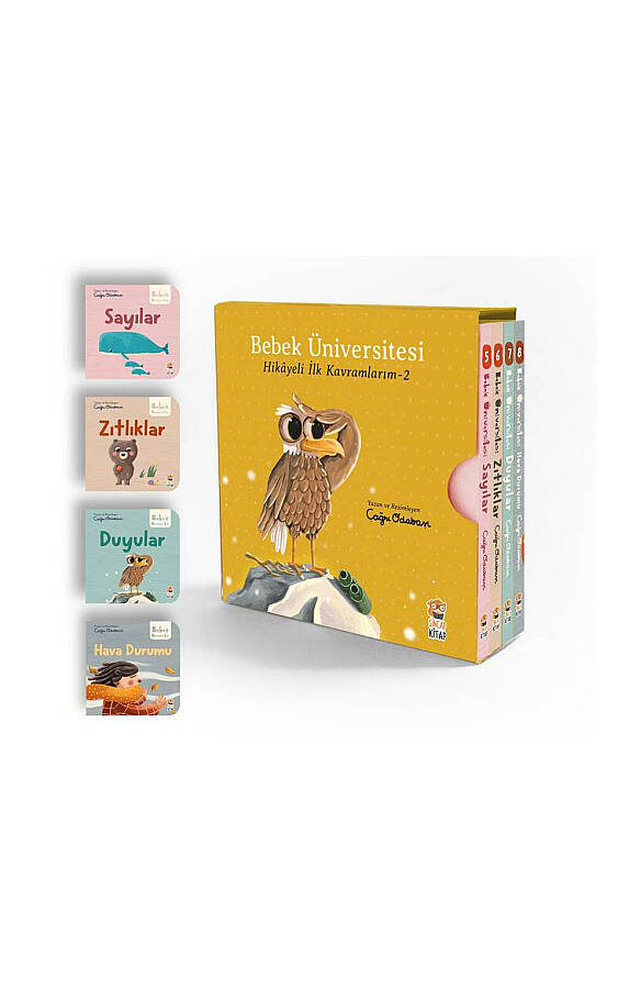 Bebek Üniversitesi 2 / Hikayeli İlk Kavramlarım Set (4 Kitap)