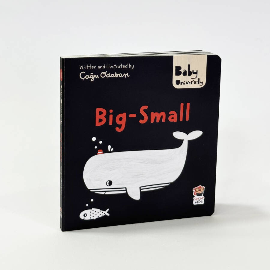 Big Small - Baby University First Concepts Stories - 1