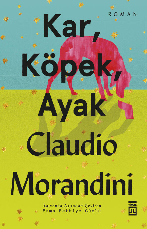 Kar, Köpek, Ayak - 1