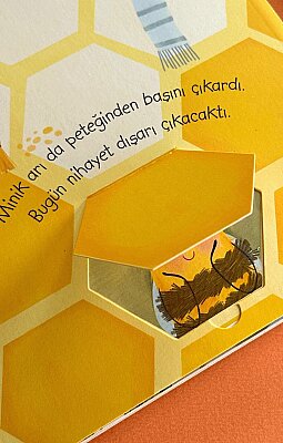 Minik Arı'nın Bir Günü - 3