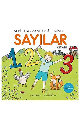 Sayılar