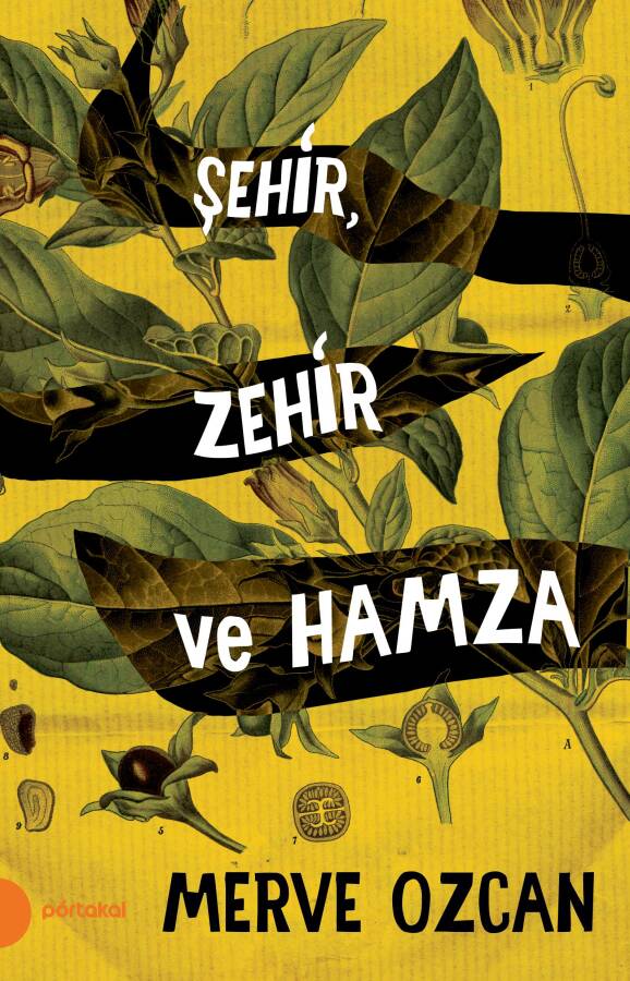 Şehir, Zehir ve Hamza - 1