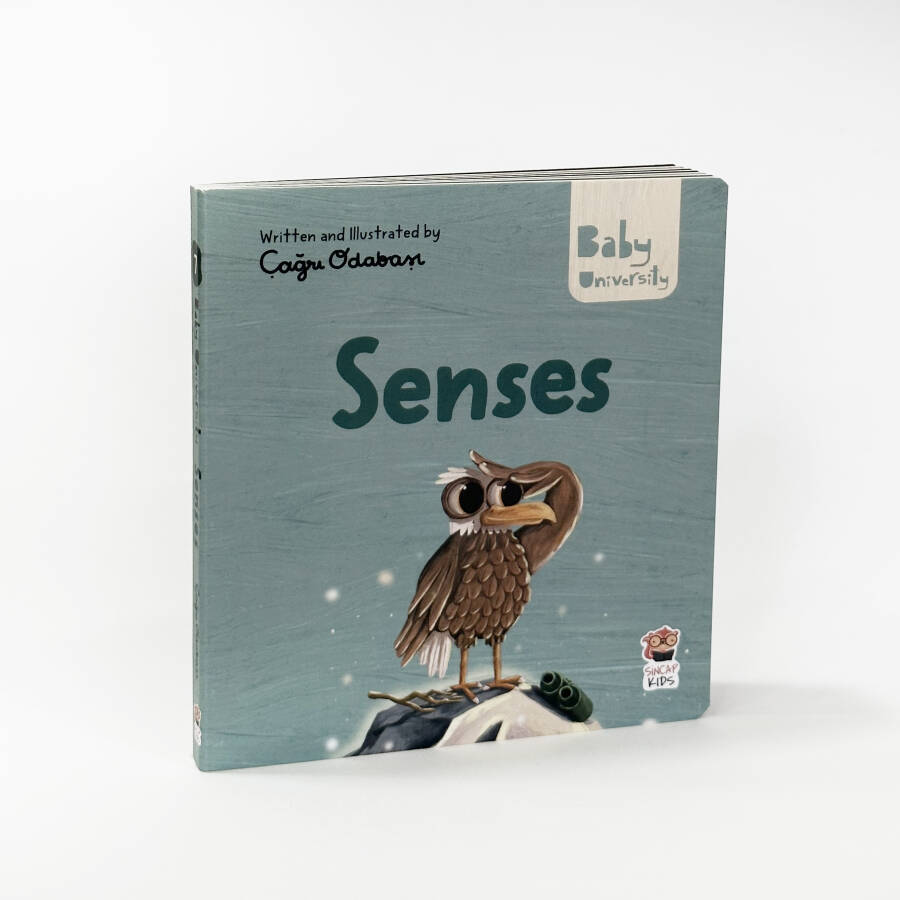 Senses - Baby University First Concepts Stories 2 - 1